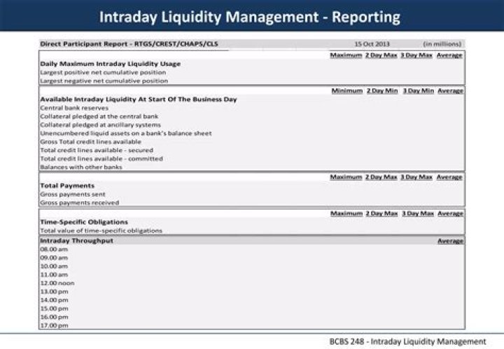BCBS Monitoring Tools for Intraday Liquidity Management (2013 PDF Guide)