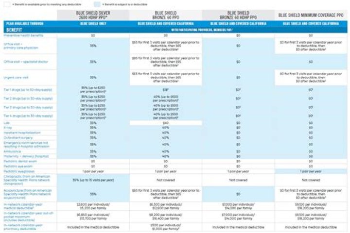BCBSIL 2024 Plans PDF: Complete Guide & Key Details