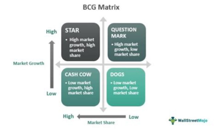 Mastering the BCG Model in Strategic Management: A PDF Guide