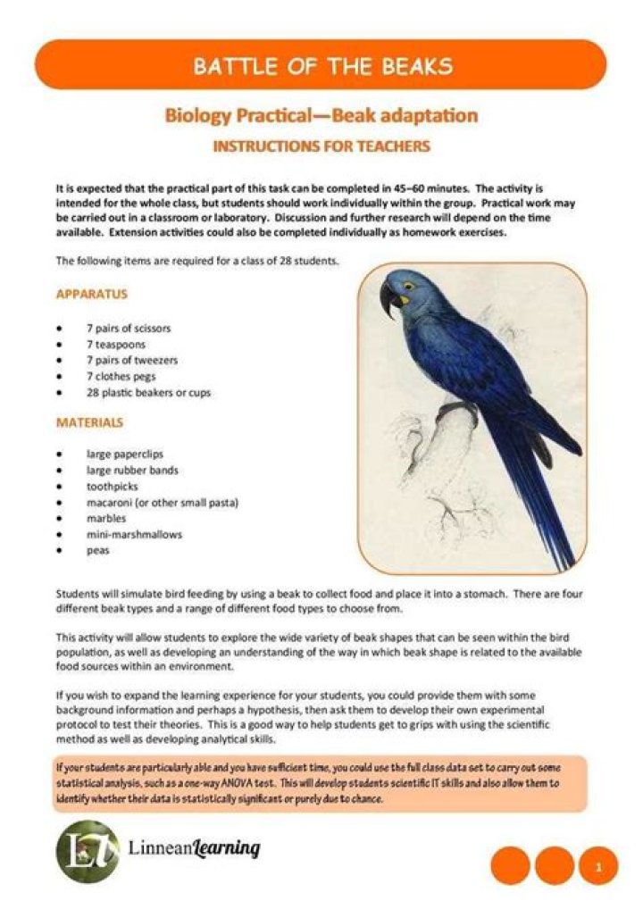 Beaks of Finches Lab Answers PDF – Expert Guide & Answers