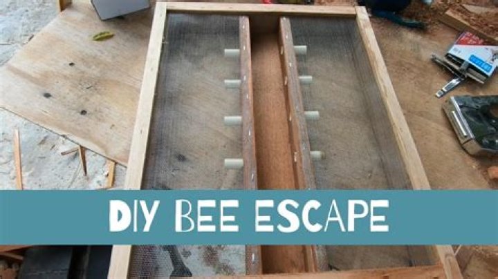 Free Bee Escape Board Plans PDF – Easy DIY Guide