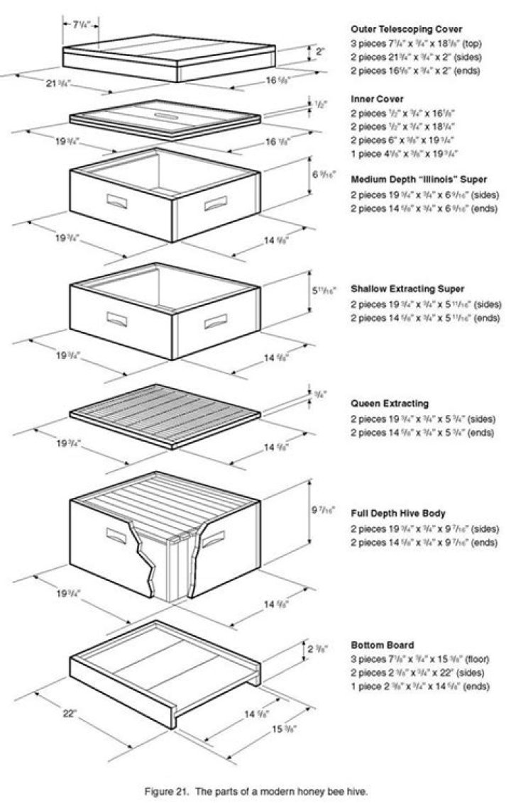 Bee Hive Plans PDF: Build Your Own Beekeeping Hive Easily