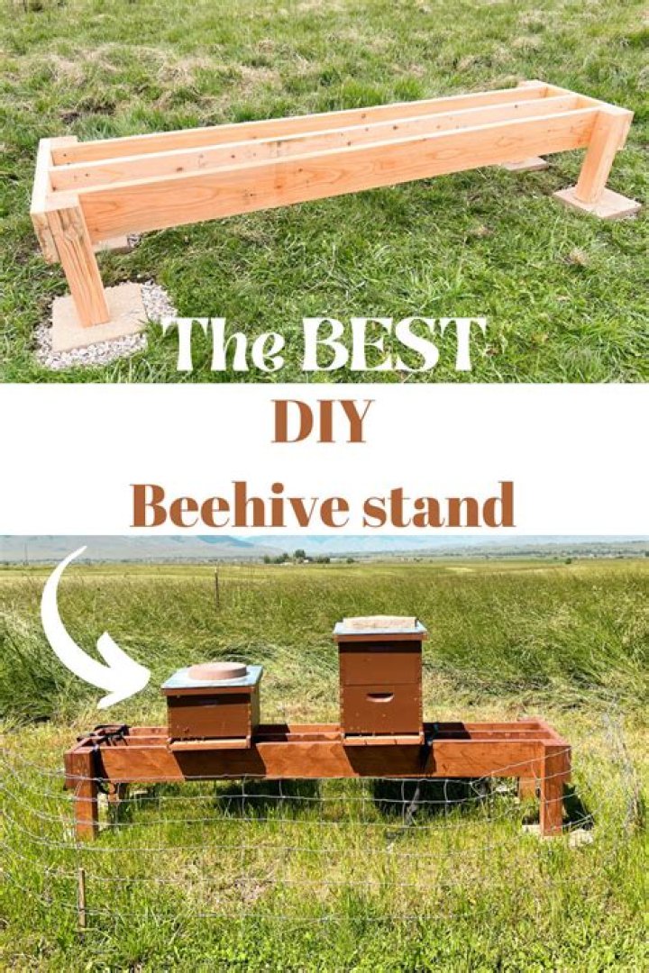Free Bee Hive Stand Plans PDF – DIY Garden Bee Habitat