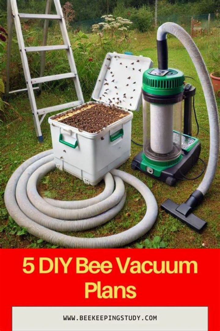 Bee Vacuum Plans PDF: Easy DIY Bee Removal Guide