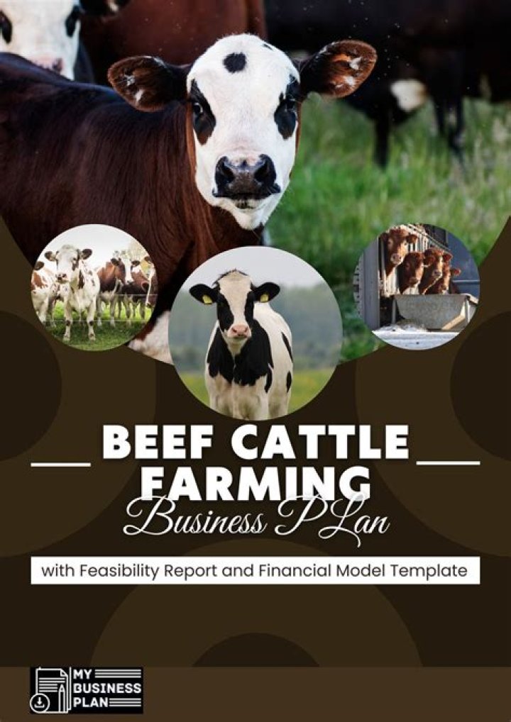 Beef Cattle Farming Business Plan PDF: Full Step-by-Step Guide