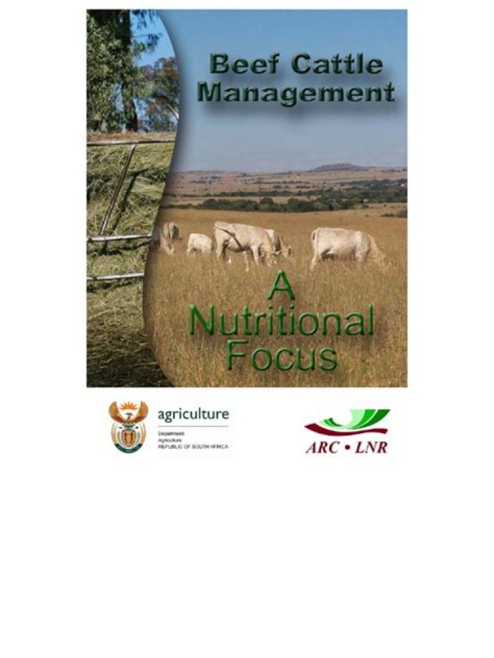 Expert Beef Cattle Management PDF Guide