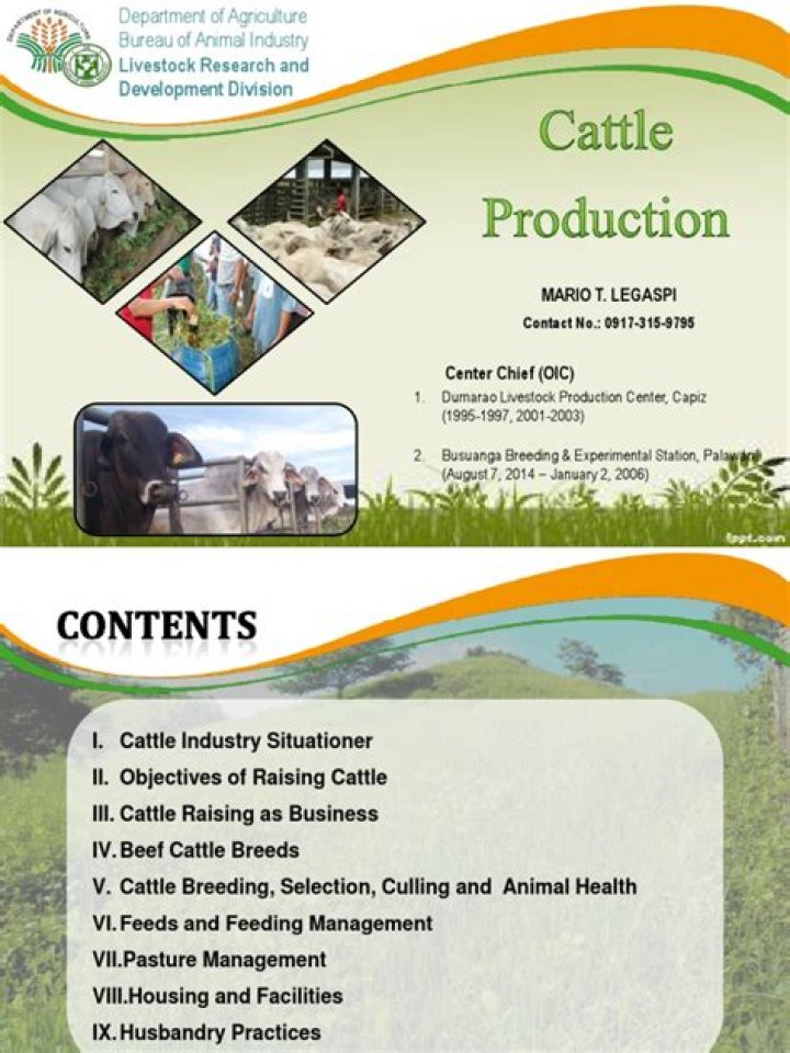 Complete Guide to Beef Cattle Production and Management PDF