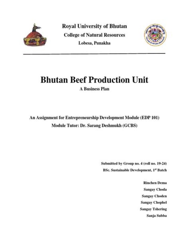 Complete Beef Production Business Plan PDF for Profitable Farming