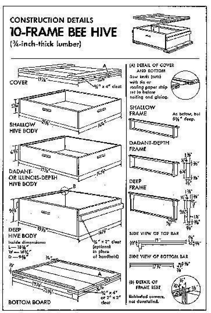 Free Beehive Plans PDF – Download Safe & Detailed Beekeeping Designs