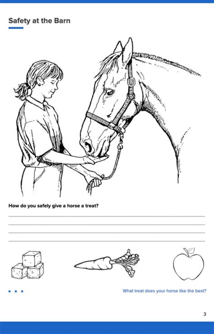 Beginner Horse Worksheets PDF: Free Printables for New Riders
