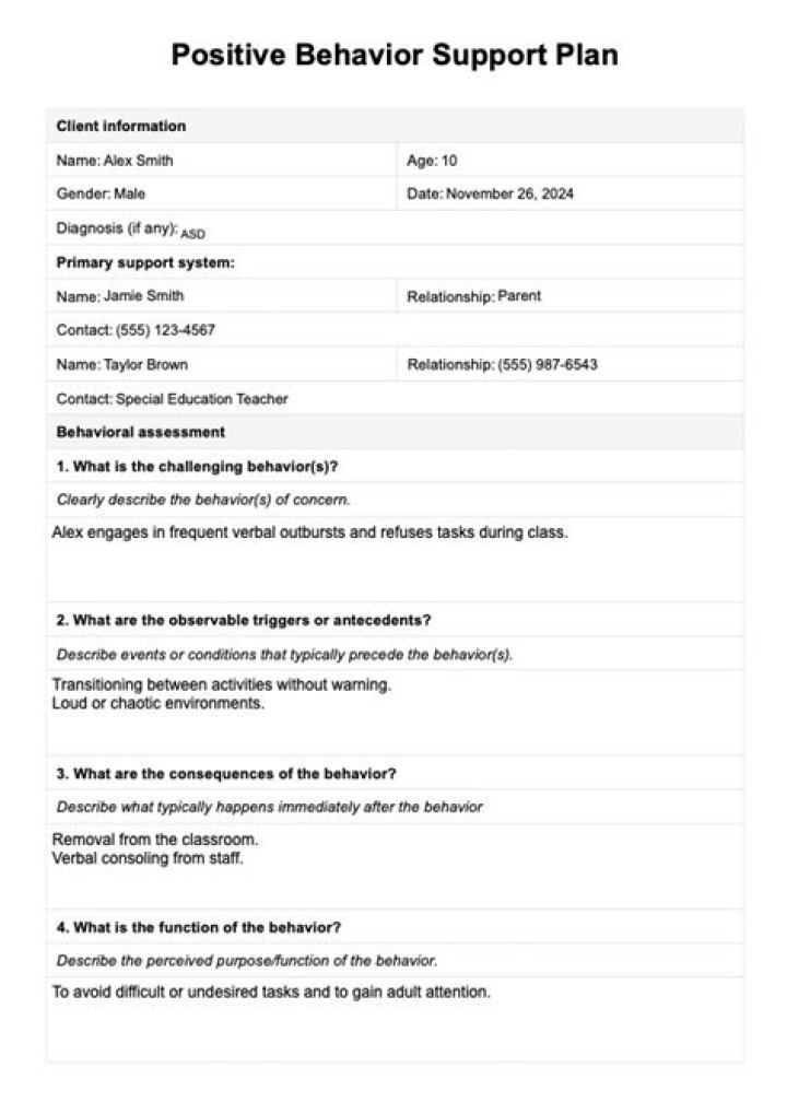 Behavior Support Plan PDF for Effective Support