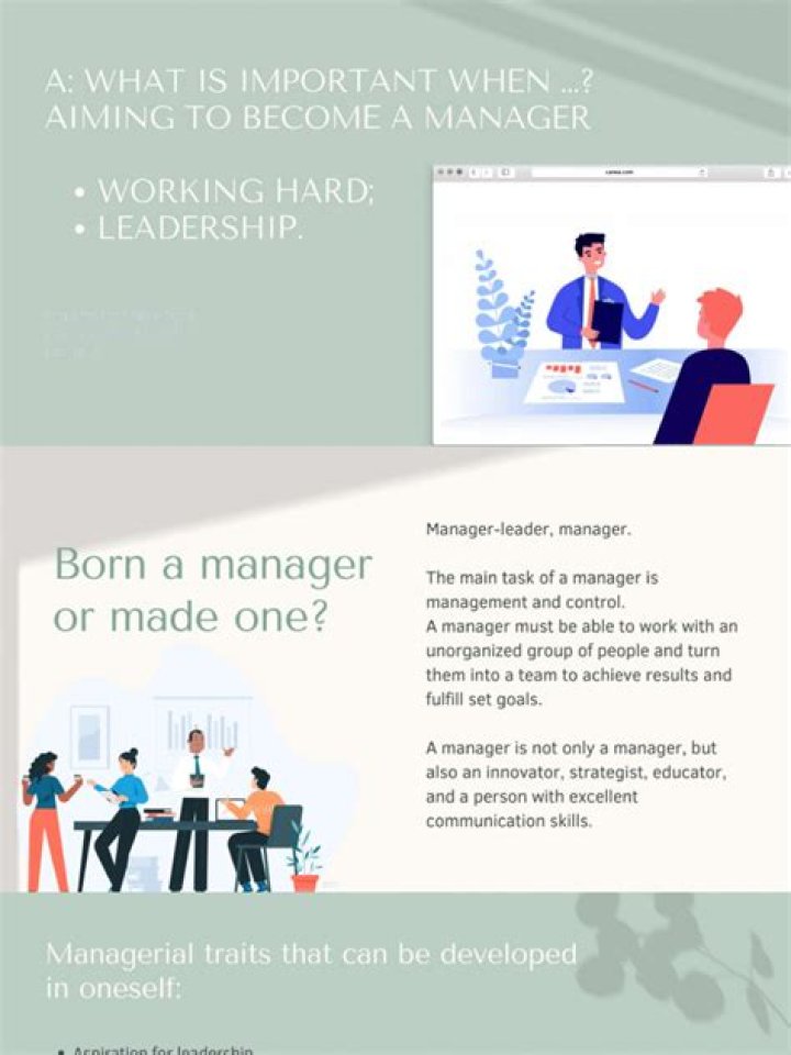 Mastering Effective Management: A Practical PDF Guide