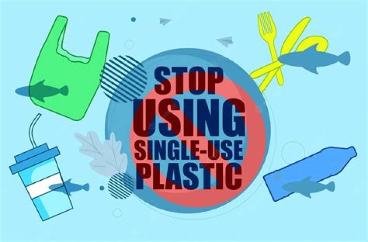 Bellingham Bans SingleUse Plastics Watch Online