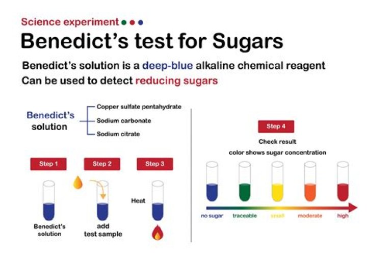 Benedict’s Test for Reducing Sugars Lab Report PDF: Accurate Lab Results Analysis