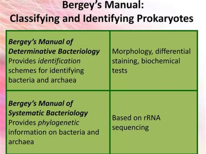 Bergey's Manual Biochemical Tests PDF: Essential Lab Reference