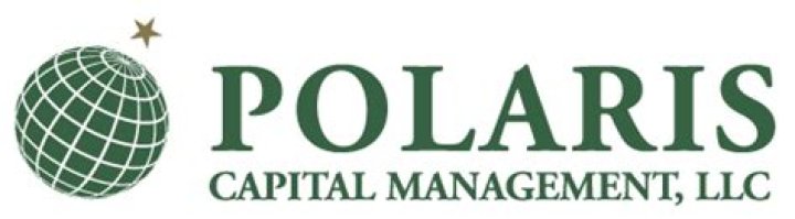 Bernard Horn’s Polaris Capital Management PDF: Key Insights and Strategies