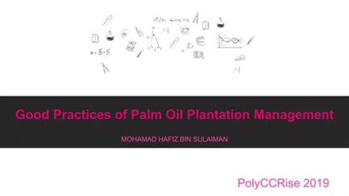 Best Management Practices for Oil Palm Plantations PDF Guide