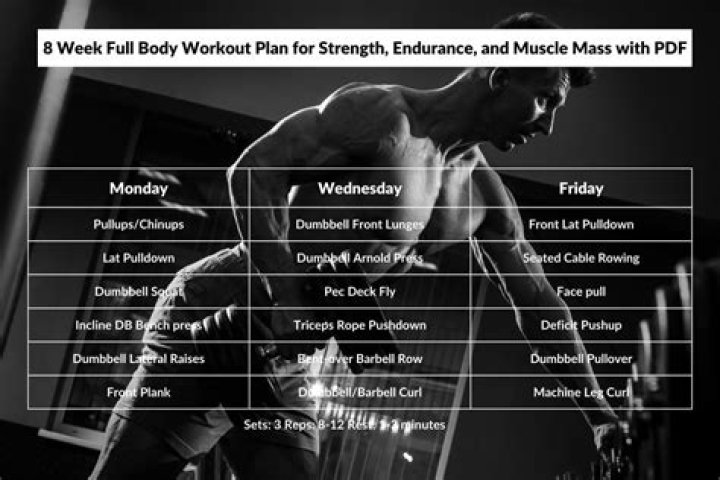 Best Muscle Gain Workout Plan PDF for Effective Results