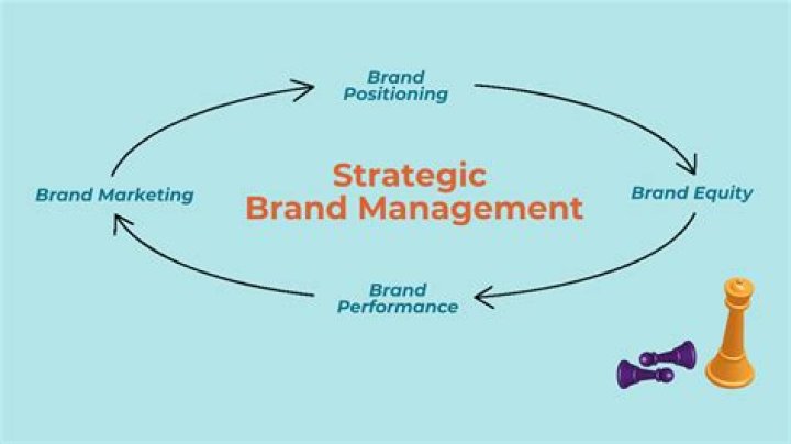 Best Practice Cases in Branding for Strategic Brand Management PDF