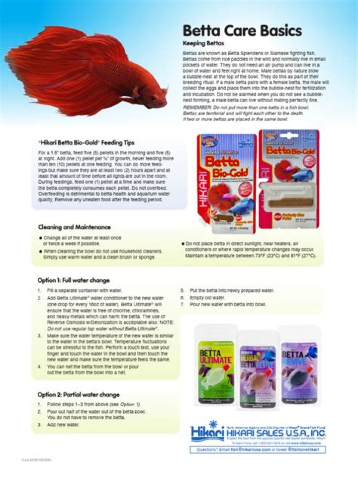 Complete Betta Care Sheet PDF for Healthy Fish