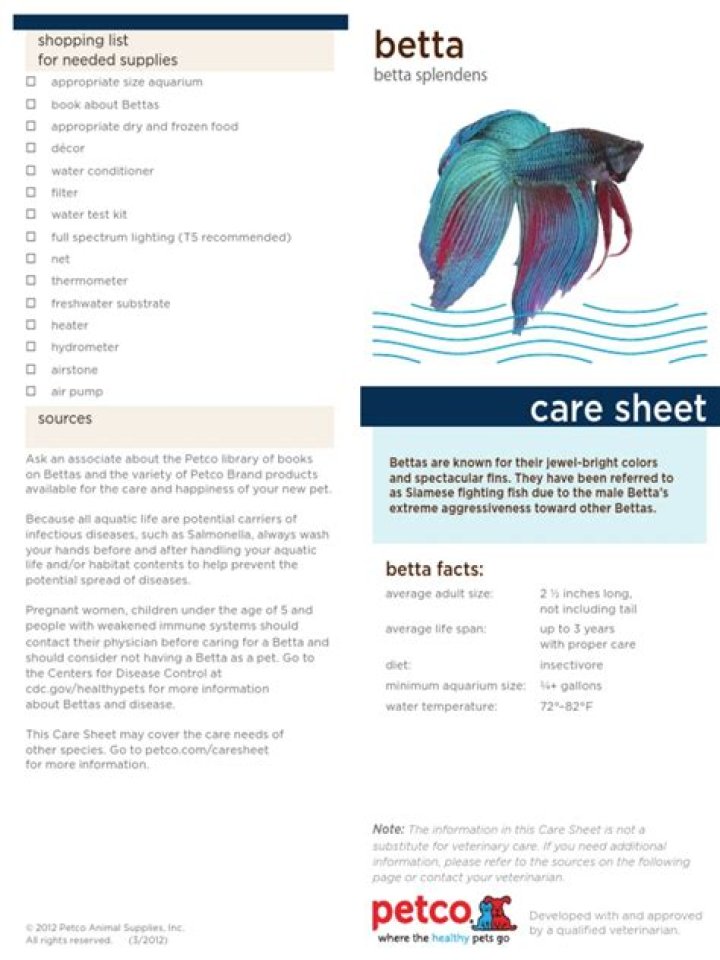 Essential Betta Fish Care Sheet PDF: Keep Your Betta Healthy & Happy