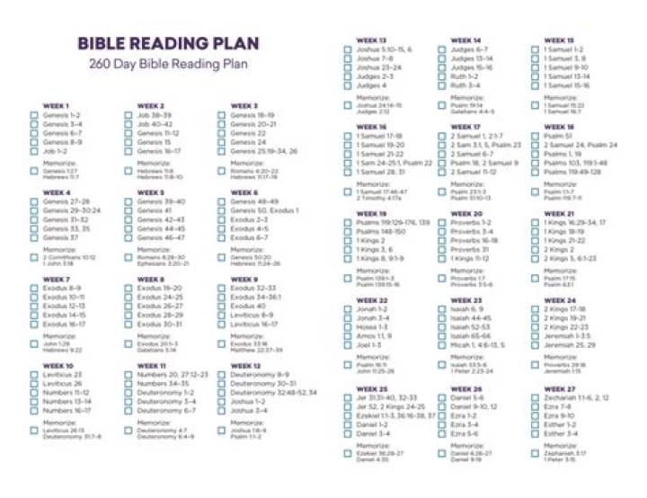 Beginner's Bible Reading Plan PDF for New Believers