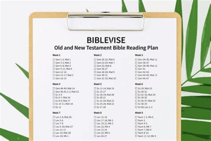 Bible Reading Plan Old & New Testament PDF: Daily Study Guide