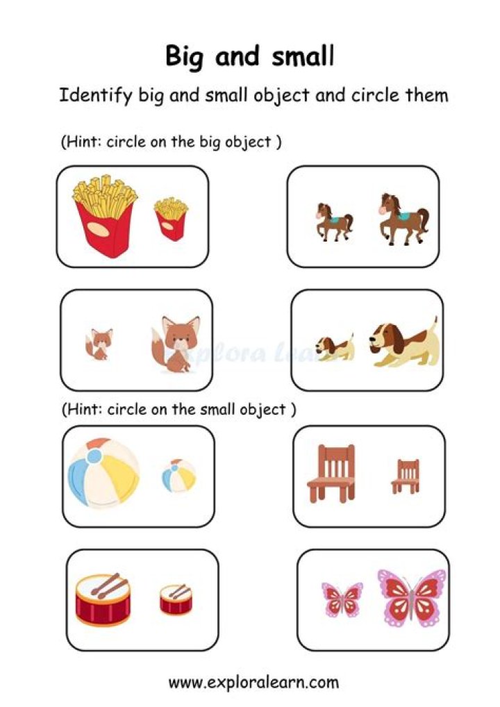 Big and Small Worksheets for Preschool PDF – Download Free Printable Worksheets