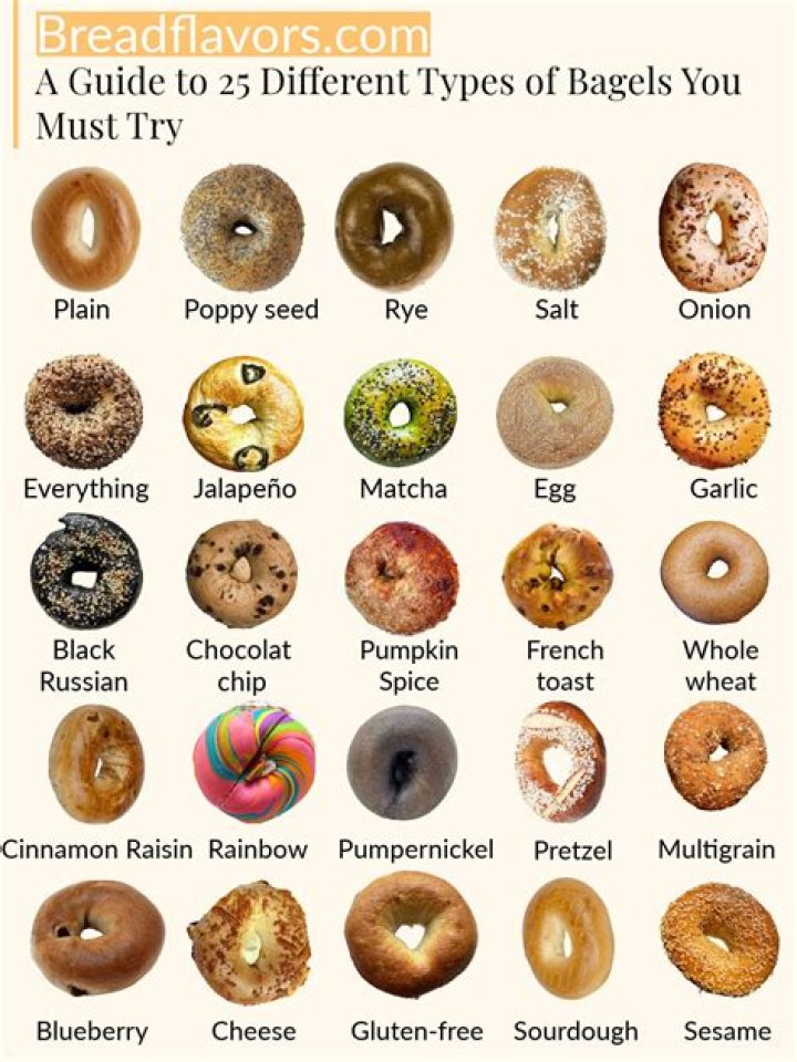 Big Apple Bagel Flavors List PDF – Full Guide & Tastes