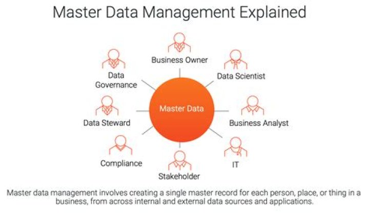 Master Data Management Essentials: A Big Data Strategy PDF Guide