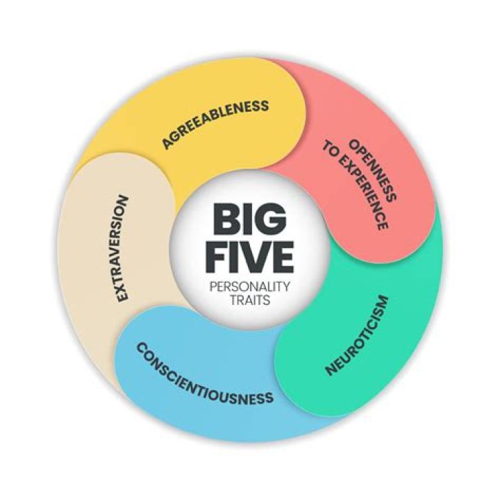 Big Five Personality Test Manual PDF – Understand Traits & Self-Insight