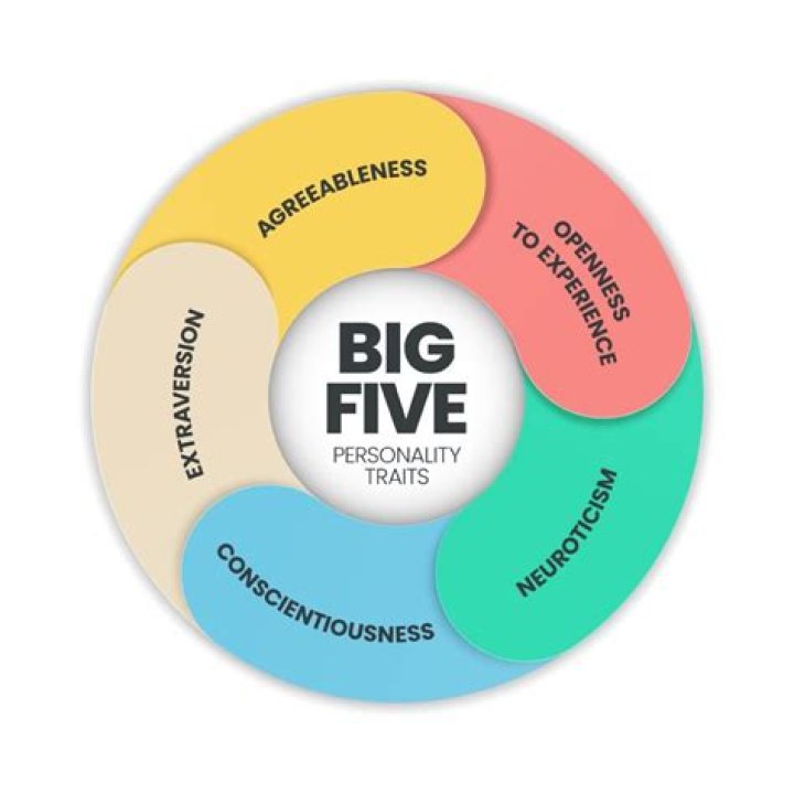 Descargar Test del Big Five en PDF en Español