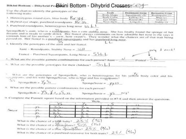 Bikini Bottom Dihybrid Crosses Answer Key PDF – Instant Grade Guide