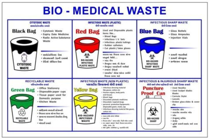Bio Medical Waste Management Rules 2016: Essential PDF Guidelines