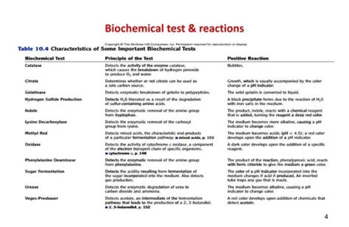 Comprehensive Biochemical Test Chart PDF for Accurate Lab Results