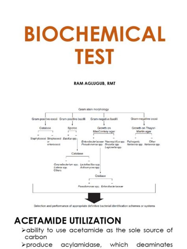 Biochemical Tests in Microbiology: Essential PDF Guide
