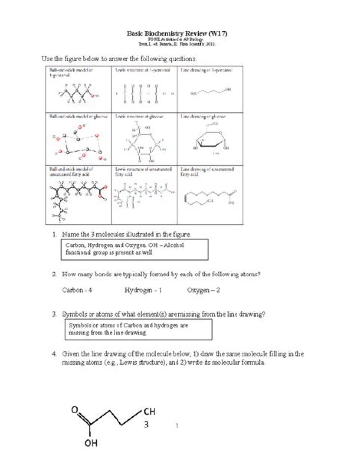 Biochemistry Basics PDF Answers: Simplified Study Guide