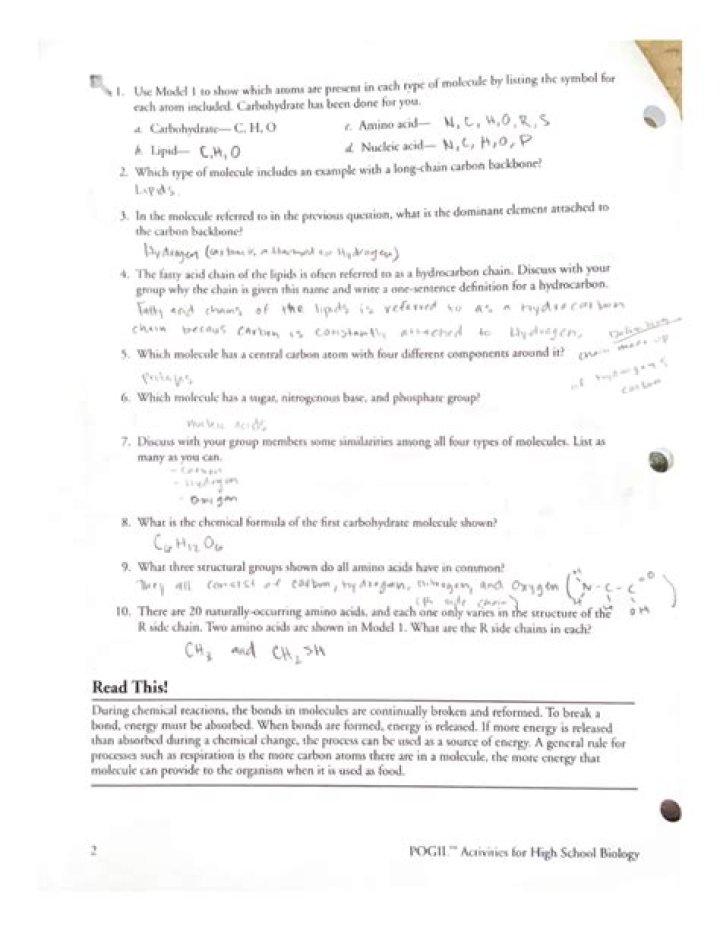 Biochemistry Basics POGIL Answers PDF: Free Study Guide & Solutions