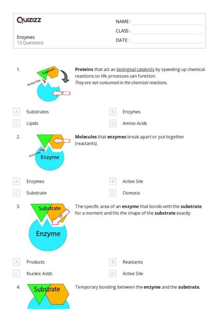 Biochemistry Questions & Answers on Enzymes – PDF Guide