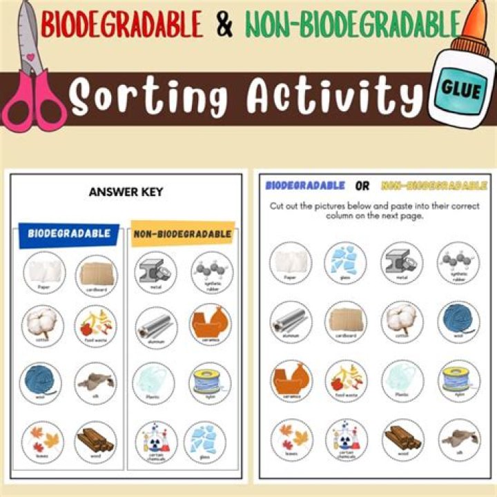 Biodegradable vs Nonbiodegradable Worksheet PDF: Learn the Differences