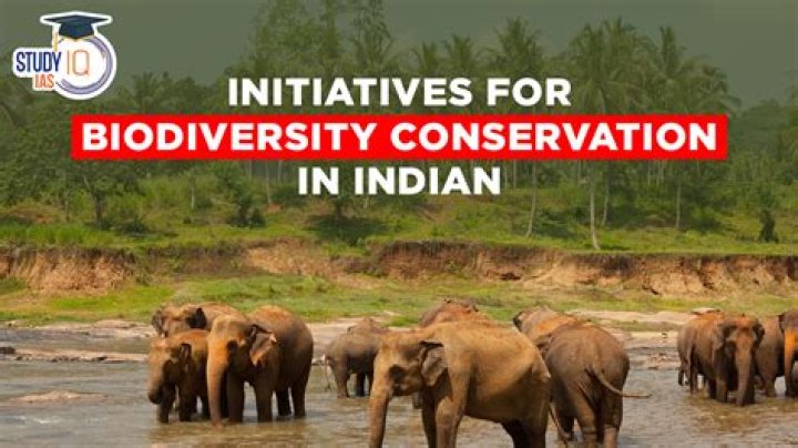 Biodiversity Conservation and Management in India: A Comprehensive PDF Guide