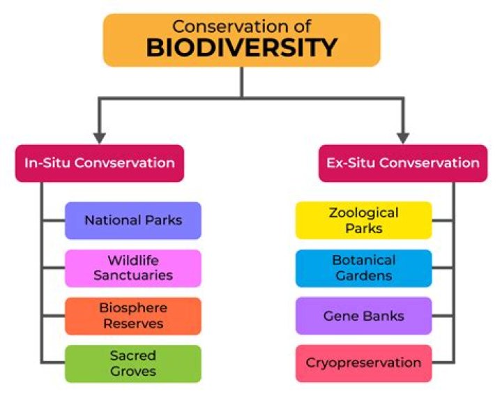 Biodiversity Management in India: A Comprehensive PDF Guide