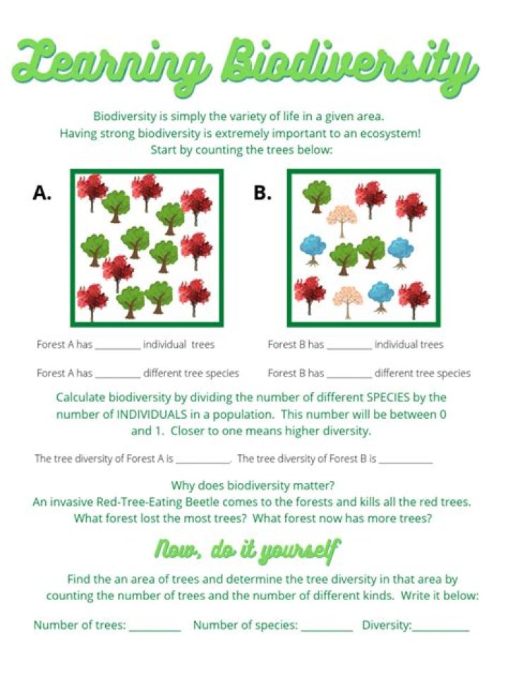 Biodiversity Worksheet High School PDF – Free Printable Study Guide