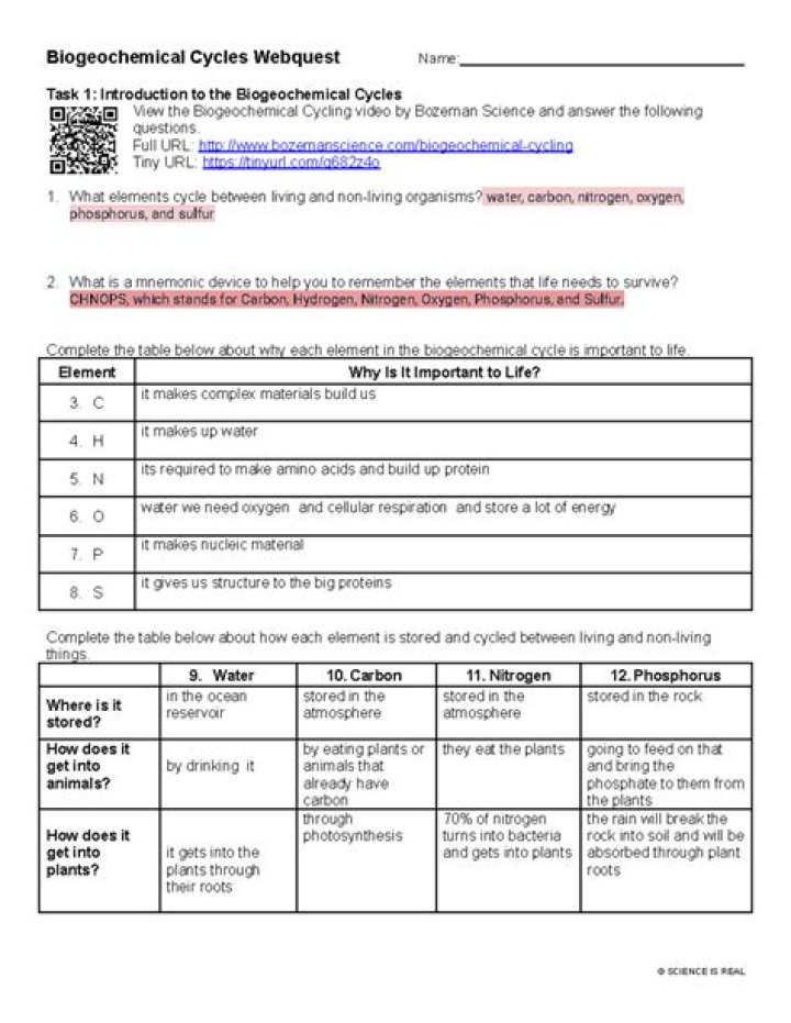 Biogeochemical Cycles PDF Answer Key: Complete Study Guide