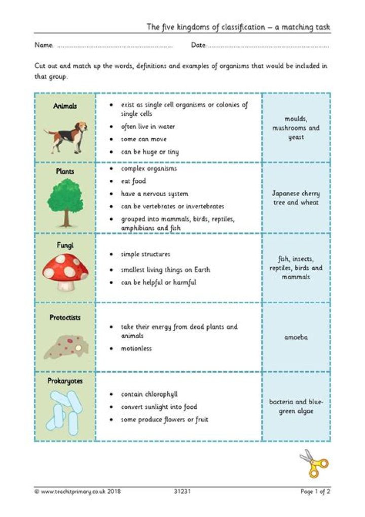 Biological Classification Worksheet PDF Answers for Students