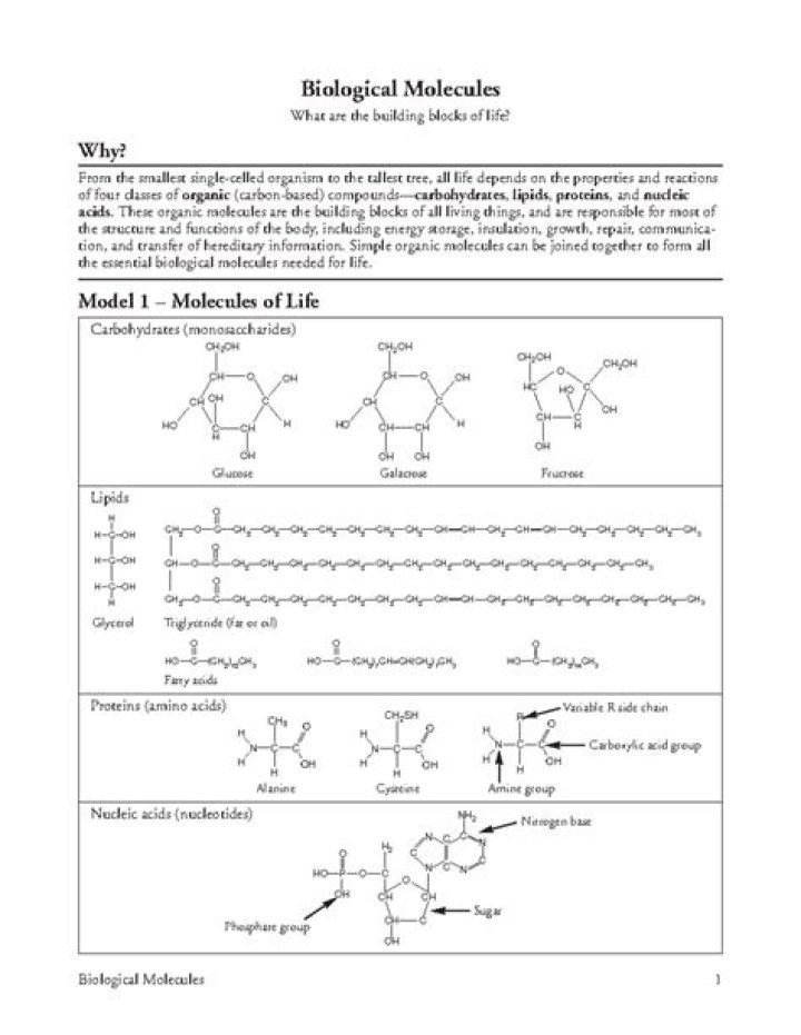 Biological Molecules: Essential Questions & Answers PDF