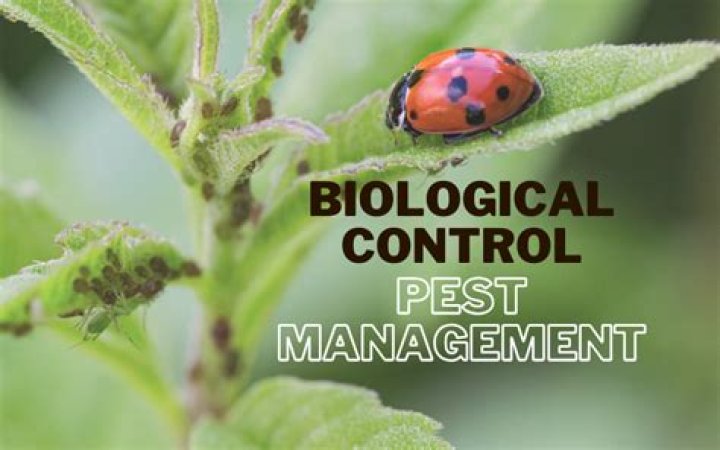 Effective Biological Pest Management: A Comprehensive PDF Guide