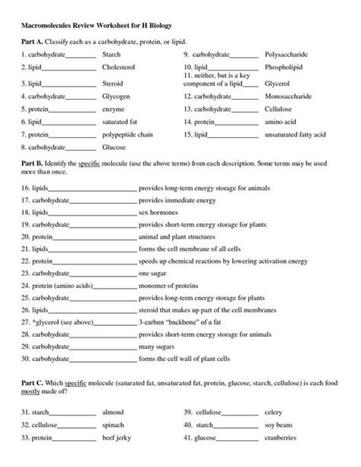 Biology Chapter 11.2 Worksheet Answers PDF – Study Guide & Solutions