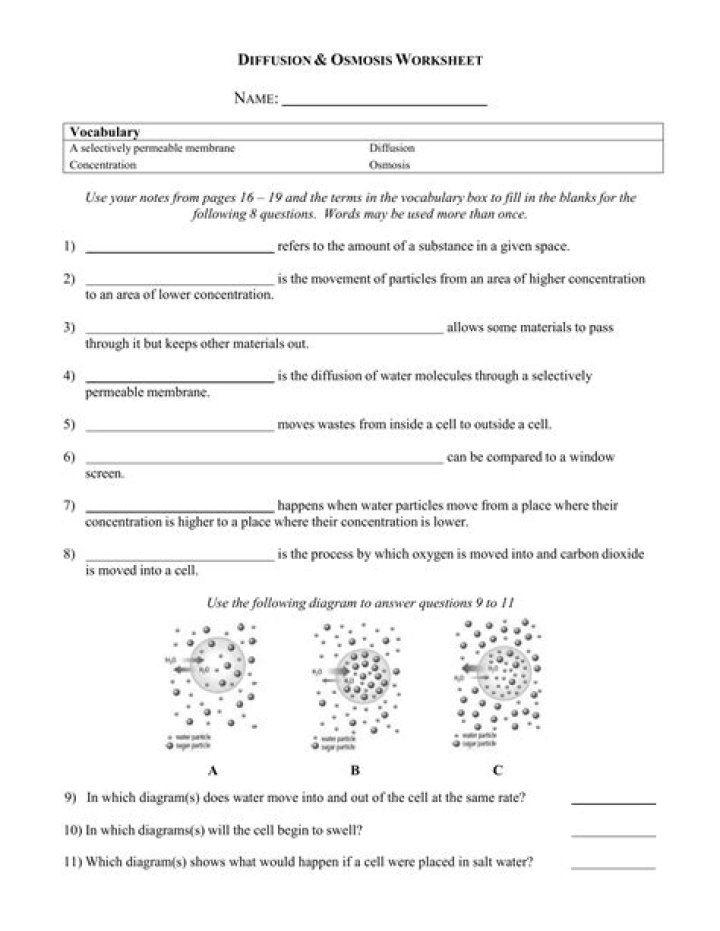 Biology Diffusion and Osmosis Worksheet Answer Key PDF – Free Practice & Solutions
