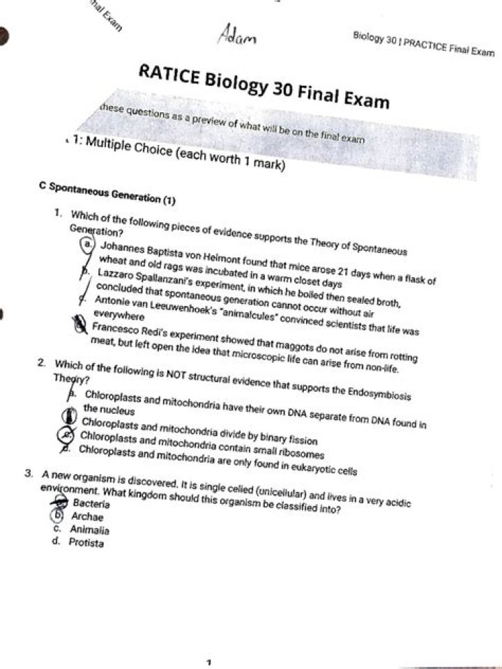 Biology Final Exam Practice Test PDF – Instant Download